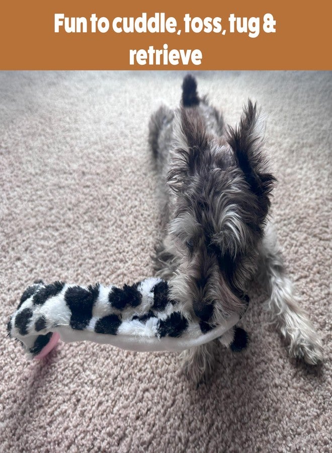 سبوت لعبة SPOT Skinneeez Crinklers Cow - لعبة كلاب بدون حشو، تصدر أصوات طقطقة وصرير، متينة للكلاب التي تمضغ بشكل معتدل، لعبة شد للكلاب الصغيرة والجراء، 14 بوصة - Image 5